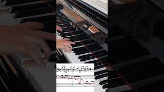 Sorabji fast and ACCURATE piano music sorabji [upl. by Liemaj]