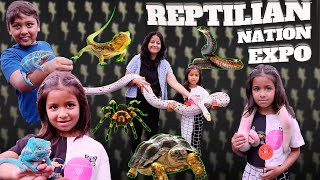 REPTILE SHOW amp EXPO 2022 ROSEVILLE KOBRA SNAKE GECKOS SNAKES TORTOISE PYTHON LIZARD AND MORE [upl. by Eleonore]