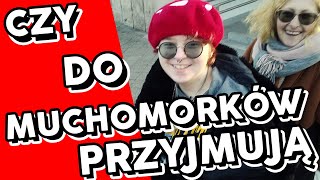 Czy do grupy Muchomorków jeszcze przyjmują [upl. by River]