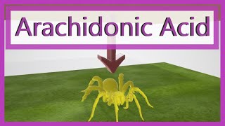 Arachidonic Acid Pathway Mnemonic [upl. by Anirad]