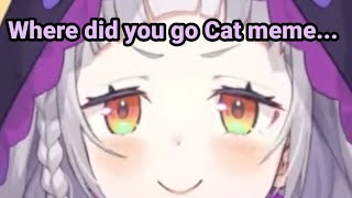 Shion late Cat Meme [upl. by Annavas]