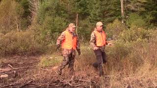 Chasse à l’orignal 2017 à la Mastigouche zone 36 [upl. by Kallick590]