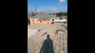 San Pedro Roof Replacement 310948ROOF7663 [upl. by Pooi]