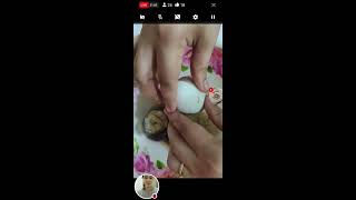 ASMR Peeling famous balut in the Philippines [upl. by Dnalerb]