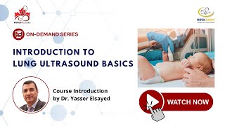 Introduction to Lung Ultrasound [upl. by Cormac]