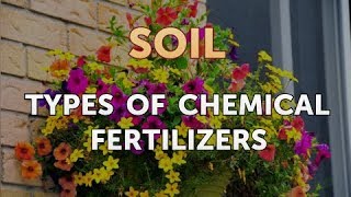 Types of Chemical Fertilizers [upl. by Isnyl]