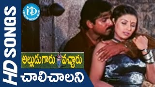 Alludugaaru Vachcharu  Chaalichalani Kulukulalona video  Jagapati Babu  Kausalya Heera [upl. by Anadal438]