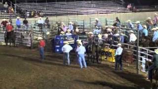 Speed Williams on Team roping with Dally Wraps [upl. by Feerahs]