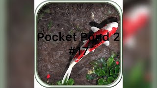 Pocket Pond 2 17 Here’s How To Cheat [upl. by Angelis145]