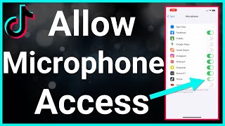 How To Allow TikTok Access To Microphone [upl. by Ecirted69]