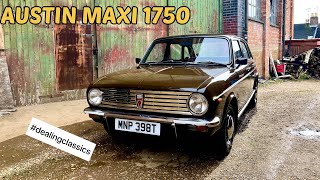 AUSTIN MORRIS MAXI 1750 austinmaxi dealingclassics reillyclassiccars [upl. by Goodill]