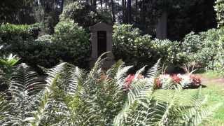 hamburg friedhof ohlsdorf emily ruete prinzessin von oman und sansibar remix [upl. by Guild]