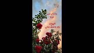 rawdataladab7244 ما ذاب من فرط الهوى بك عاشق مثلي ❤️ [upl. by Ahsyla]