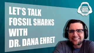 Lets Talk Fossil Sharks with Dr Dana Ehret [upl. by Bidle471]