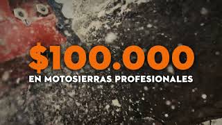 Precios imbatibles en motosierras profesionales STIHL [upl. by Eillib627]