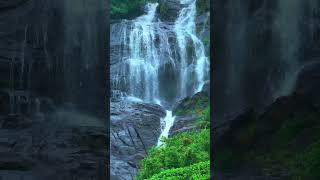 Periyakanal Falls Idukki munnardays waterfall shotsvideo [upl. by Mandych880]