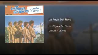 La Fuga Del Rojo  Los Tigres Del Norte letra [upl. by Cyrie]