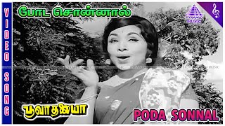 Poda Sonnal Female Video Song  Poova Thalaiya Movie Songs  Manorama  Rajasree [upl. by Cadell]