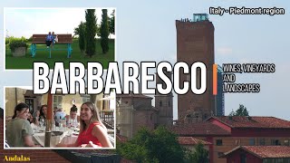 Barbaresco  Wines vineyards and landscapes  Italy  Piedmont region ENGLISH VERSION 4K [upl. by Analihp534]