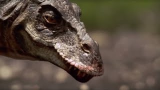 Hunting with a TRex  Walking with Dinosaurs in HQ  BBC Earth [upl. by Wehhtam]