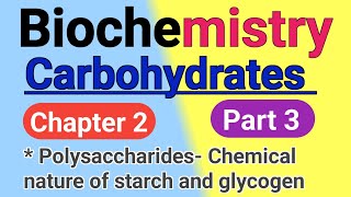 Polysaccharidestarch Glycogen Cellulose in hindi Dpharm 2nd year Biochemistry chapter 2 in hindi [upl. by Earle]