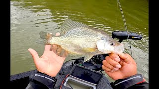 Wabigoon Lake Fall Crappie [upl. by Marjie]