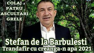 Stefan de la Barbulesti ❌ Trandafir cu creangan apa 2021 COLAJ PATRU ASCULTARI GRELE FARA DEDICATII [upl. by Nohpets]