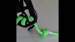 Edelrid TreeRex Harness  Out Of The Box [upl. by Yvonner548]