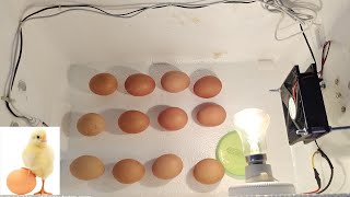 How to Make a Incubator at Home  Simple method of making incubator  Diy Invention [upl. by Barnard]