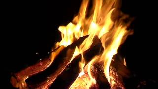 Relaxing Campfire Video  Campfire with Sounds of Nature [upl. by Yrreg652]