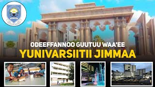 Odeeffannoo Guutuu Waaee Yunivarsiitii Jimmaa jimmauniversity gadaascore [upl. by Aley419]