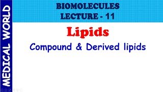 BIOMOLECULES  COMPOUND AND DERIVED LIPIDS  LECTURE 11 [upl. by Cordier420]