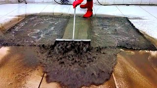 Terrible dirty goat hazır carpet cleaning satisfying ASMR [upl. by Karas979]