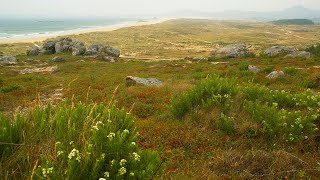 Ruta de A Pobra do Caramiñal a Corrubedo [upl. by Oicnoel]