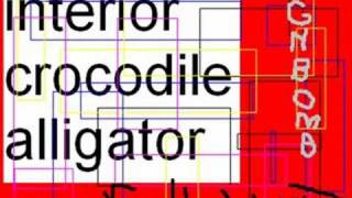 interior crocodile alligator FULL SONG [upl. by Nerissa]