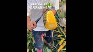 Pealing pineapple 🍍🍍fruitchinanatureshortsfruitcutting tropicalfruit frute satisfying [upl. by Kared241]