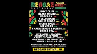 Charly Black  Hoist And Wine  Reggae Rotterdam Festival 2018 [upl. by Nelra]