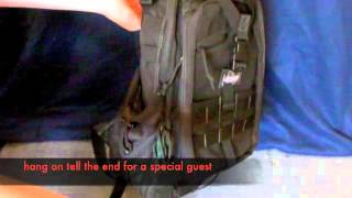 maxpedition pygmy falcon II Gear review [upl. by Eiclud142]