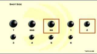 Choosing Shot Size [upl. by Nylsirk]