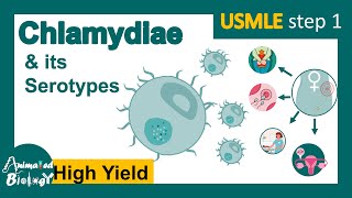 Chlamydia trachomatis and its serotypes  Trachoma  neonatal keratoconjunctivitis  USMLE [upl. by Desi]