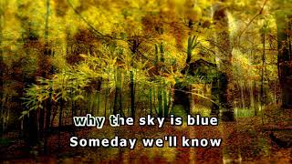 KaraoKe  New Radicals  Someday We’ll Know  20178 [upl. by Diet]