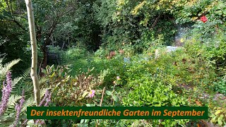 Der insektenfreundliche Garten im September [upl. by Pete13]