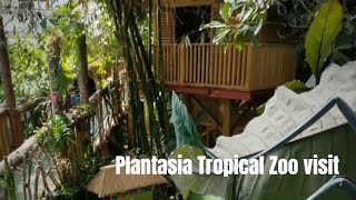 Visiting Plantasia Tropical Zoo Swansea [upl. by Ilehs448]