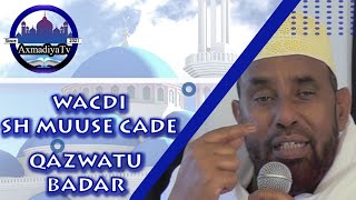 WACDI  SH MUUSE CADe  QAZWATU BADAR [upl. by Warfold]