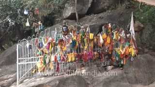 Thundering crowd for Thaipusam at Palani [upl. by Bonns50]