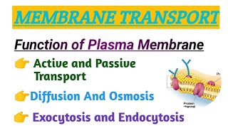 MEMBRANE TRANSPORT  FUNCTION OF PLASMA MEMBRANE  ACTIVE TRANSPORT  PASSIVE TRANSPORT [upl. by Martell]