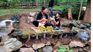 Harvesting boiled corn with two children to eat  rural mountain life [upl. by Corri]