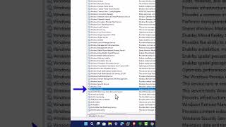 How to Disable Windows 11 Update [upl. by Tecil655]