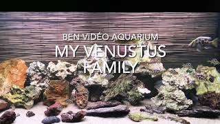 My beautifull Venustus family [upl. by Othelia]