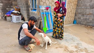 Mahmoud and Azam’s Daily Life Organizing the Tent Feeding a Stray Dog and Enjoying Tea [upl. by Petulia]